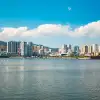 皮克斯精致动画短片《鹬》