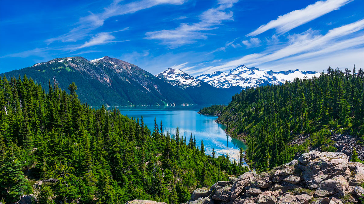 BBC艺术的力量之马克·罗斯科