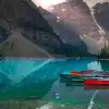 BBC生命之鸟类