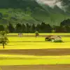 BBC生命之哺乳动物