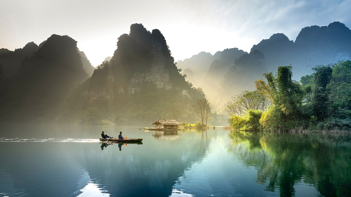 BBC生命之爬虫类与两栖类