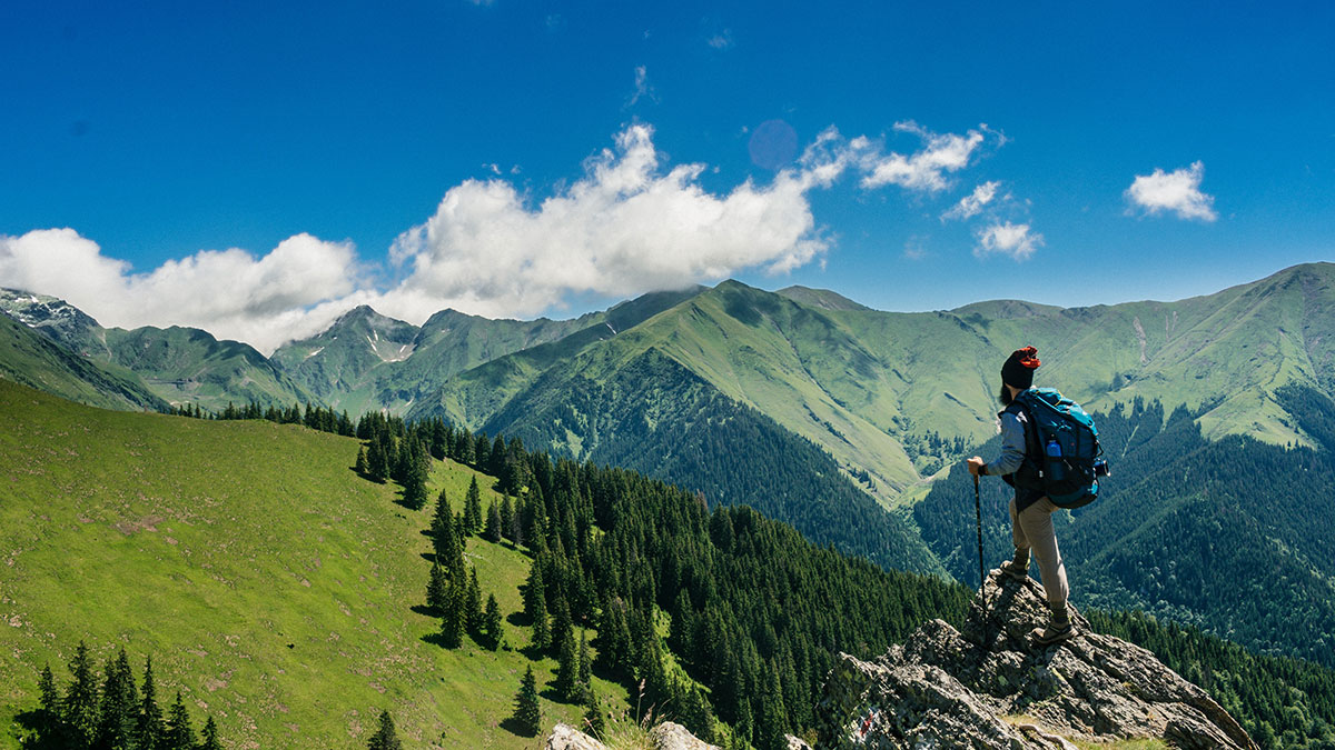 皮克斯精致动画短片《鹬》